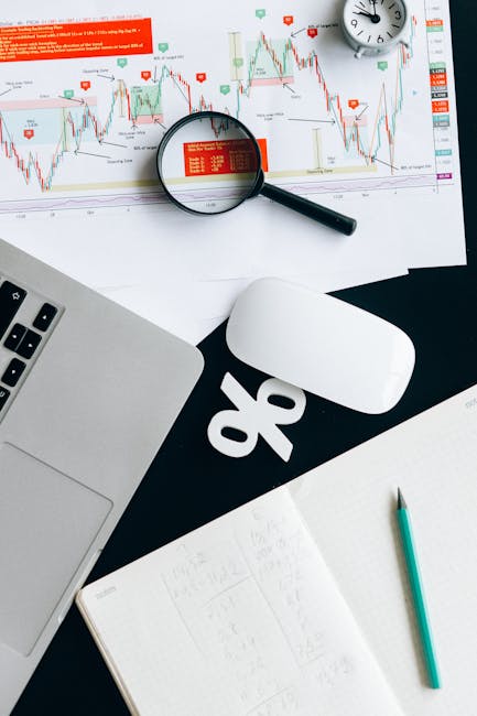 Organizarea fluxului de lucru